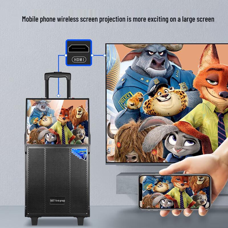 HANDUNYOUST-1501 Portable Karaoke Speaker System with Display