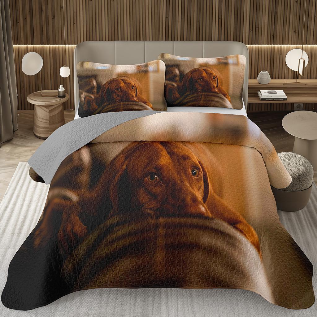 Забавный плед для собаки Твин Квин Каваи Животное Покрывало Мультяшный Домашний Питомец Собаки Постельный Набор Для Мальчиков Девочек Двусторонние Стеганые Покрывала