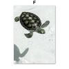 Wall Art Print Calm Beach Waves Raft Road Turtle Shells Reed Canvas Painting Nordic Poster Decoration Pictures For Living Room