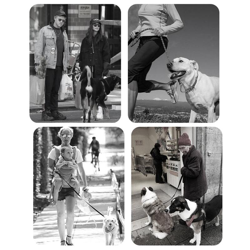 Pet Double Handle Dog Lead Reflective Dog Lead,Hands Free Dog Lead for Running Walking Training Hiking, Ideal for Medium To Large Dogs