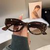 Cat Eye New Oval Sunglasses Personalized Vintage Fashion Trendy Female Shades Popular Brand Designer Eyewear For Ladies