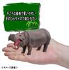 TAKARA TOMY Животное Динозавр Реалистичная Движущаяся Фигурка Игрушка для Возраста 3+ и Соответствует Безопасности Игрушек Сертифицировано Знаком ST "Ania AS-06 Бегемот" Вверх, Стандарты,