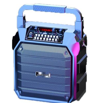Портативная Bluetooth KTV колонка Newsmy K99, штекер CN (адаптер в комплекте)