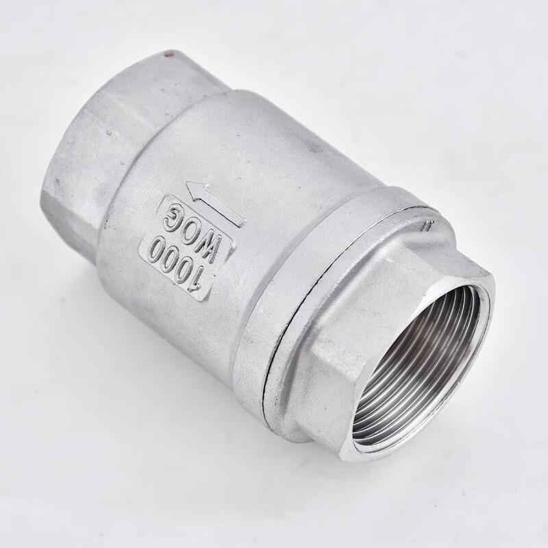 Stainless Steel Vertical Check Valve