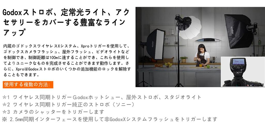 GODOX Transmitter TTL Wireless Flash Trigger with Technical Compliance Mark Japanese Instruction Sync X Compatible with Sony SLR Cameras Xpro-S 2.4G &