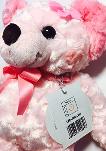 Local Bear, Owakudani Bear, Cherry Blossom Plush Toy S, Owakudani Limited Edition Bear, Fujini Makoto