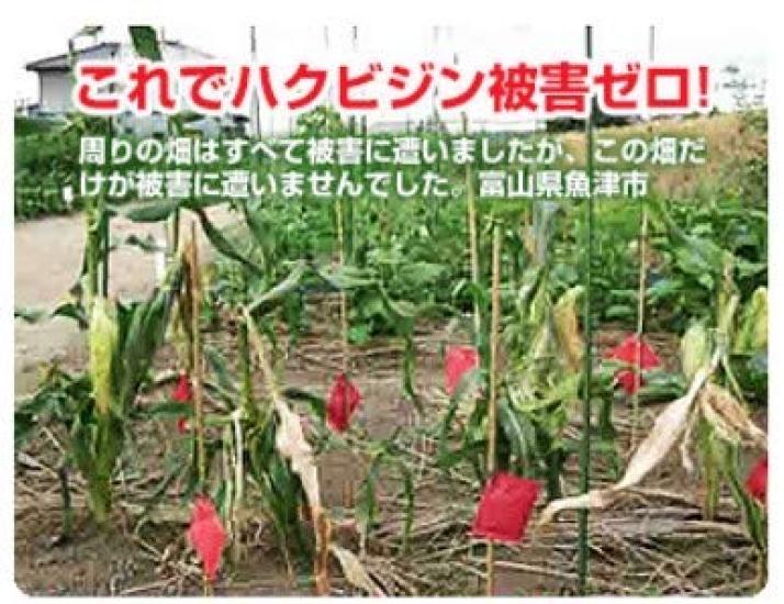 Почему мусанги бегают в помещении, демонстрируя сверхвысокий уровень отпугивания для пальмовых енотов и борьбы с вредителями? 15 предметов 95% циветты, репелленты,