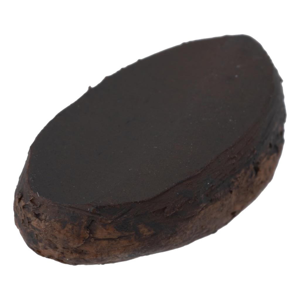 Nihon Sample Еда Образец Какао-бобы, 13 мм Ш x 23 мм В, Набор из 15 шт., 3103