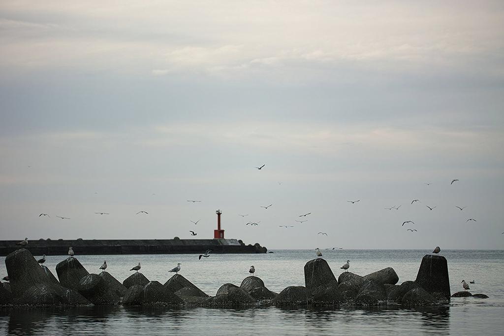 Sigma SIGMA Объектив Sigma Nikon F Mount DC HSM Зум Стандартный Art Зеркальный Специальный 50-100мм F1.8 APS-C