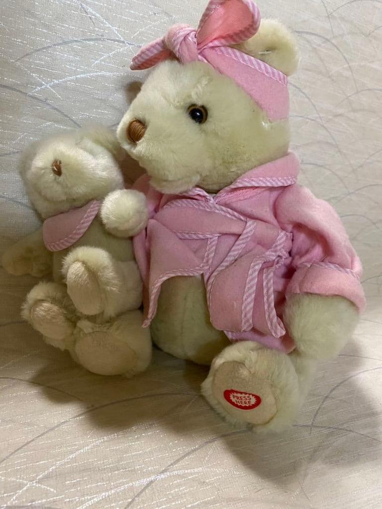 [USED] Teddy bear stuffed toy bear doll singing talking English study parent and child