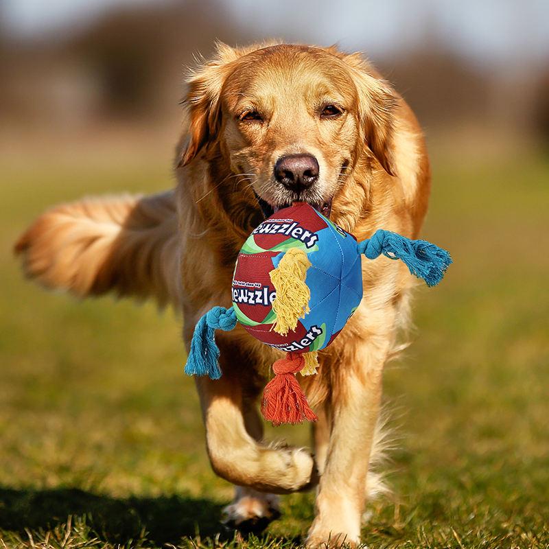 Interactive Durable Modern Animal Print Candy Ball Double Knot Rope Cute Squeak Dog Chew Stuffed Toys for Dog Play