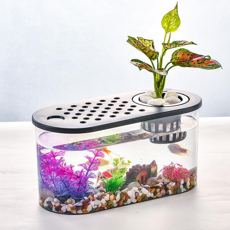 Clear Plastic Fish Tank for Desktop Landscaping - Turtle, Goldfish, Micro Ecosystem Aquarium
