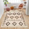 Fringed-Woven Cotton Base Digital Printed Carpet RVG8003