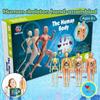 Anatomy Model Human Anatomy Model Mannequin 3D Body Puzzle STEM Toys Scientific Experiment