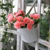 Semicircle Vintage Wall Mounted Iron Flower Pot Flower Basket Hanging Baskets Flower Vase