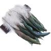 50Pcs Beautiful Rooster Feathers 15-20cm/6-8 Inch Natural Pheasant Plume Wedding Jewelry Decoration Accessories