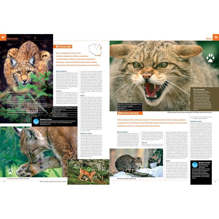 Illustrated Encyclopedia of Animals Polish Album Atlas Hardcover 352 Pages