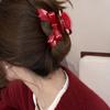 Bownot Red Hair Clip Acetate Bownot Grab Clip Creative Acetic Acid Bow Hair Claw  Female