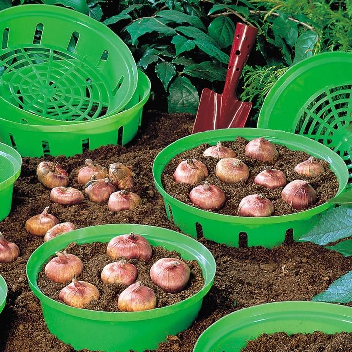 Round Bulb Basket 18cm | Grass Green