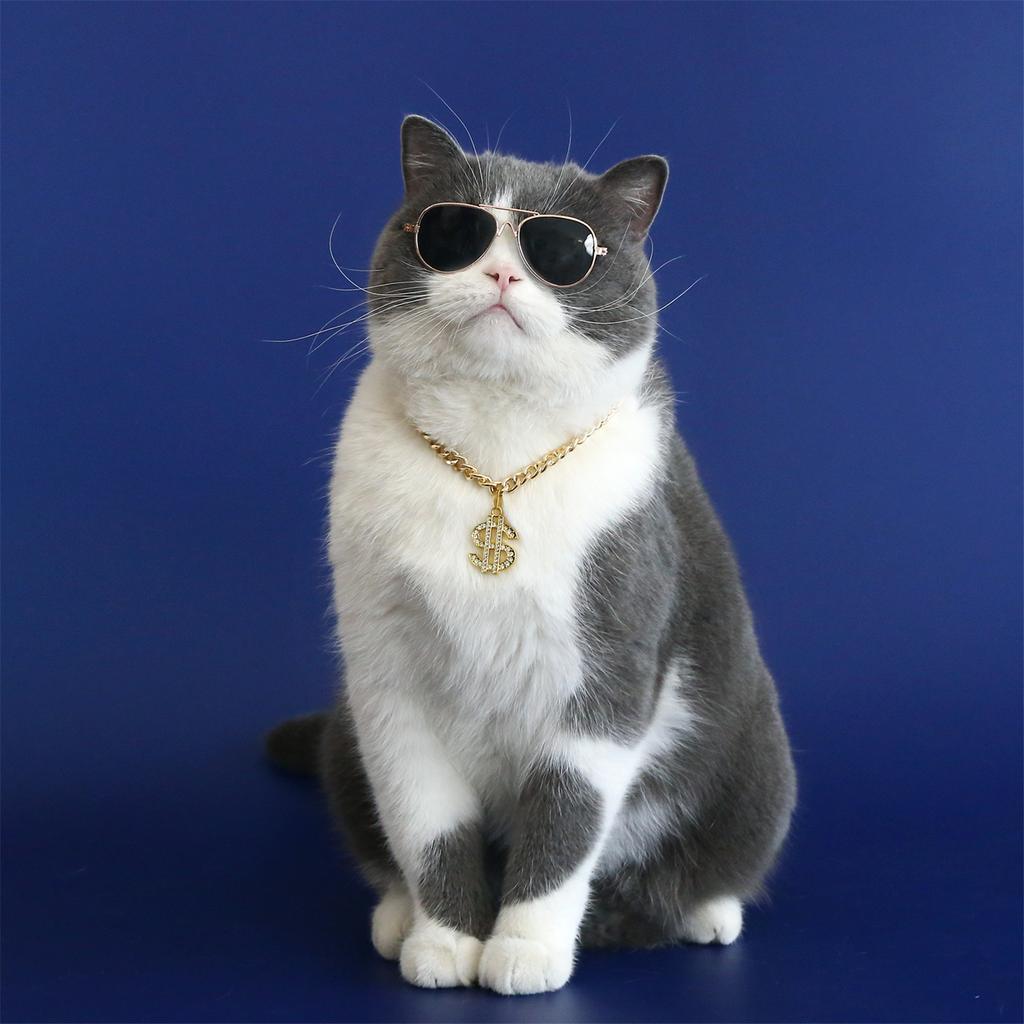 Adjustable Cat Jewelry Small Dogs Cat Collar Necklace with Rhinestones Dollar Pendant Wedding Party Cat Girl Collar 2PCS