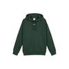Sportswear Collection Essentials Fleece-Lined Casual Pullover Hoodie Women Tops Green DJ7669-397