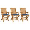 Day and Night - Day and Night Garden Chairs 3 Units Teak Wood with Royal Blue Cushions