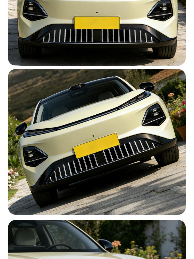 Сетчатый Защитник Решетки Радиатора от Насекомых для Changan Qiyuan Q05