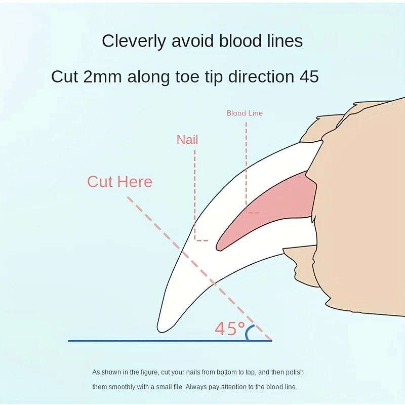 1 штука Пет Нержавеющая сталь Когтерезы, Ножницы для подстригания, чистки и шлифовки когтей, Подходят для когтей собак и кошек