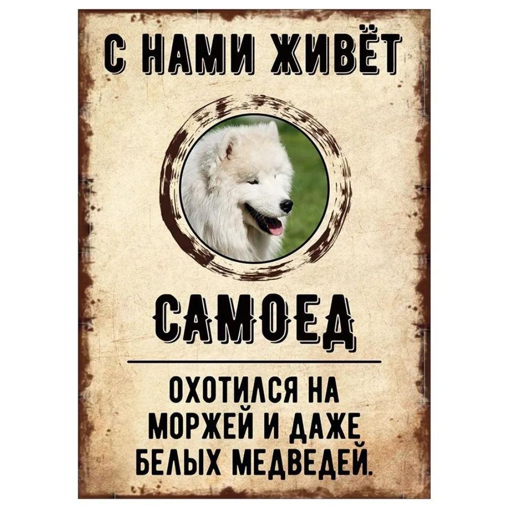 ОСТОРОЖНО СОБАКА Забавная Шнауцер Металлическая Табличка Декор для Питомца 20x30см