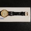 [USED] Extremely Rare Seiko Spirit Watch 5E31-6D10 (no Warranty)