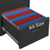 Filing Cabinet Anthracite 46 x 62 x 72.5 cm Steel
