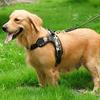 Large Dog Harness Soft Adjustable Training Harness Pet Walk Out Hand Strap Vest