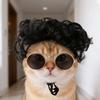 Clown's Hair Kitty Wavy Hair Adjustable Fit Cat Fake Hair  Party Play Costume