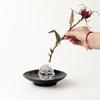 Transparent Glass Ball Vase Zen-Inspired Design Hydroponic Flower Vase  Flower Arrangement