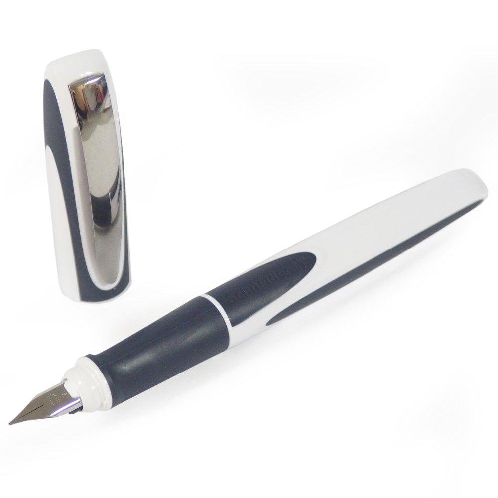 Schneider Ray Series Fountain Nib Ink Includes 1 Ink Body RYFP168124F Pen, Size F/Fine, Color Black, Cartridge, Color White/Gray,