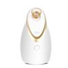KingDom Hot Mist Facial Steamer