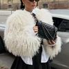 Women's Clothing Autumn and Winter Beach Sheep Hair Imitation Fur New Artificial Fur Street Girl Long-sleeved Top Short