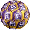Футбольный мяч Anderlecht FC, размер 5, стандартный, прочный, для тренировок и матчей, для взрослых, для занятий спортом на открытом воздухе