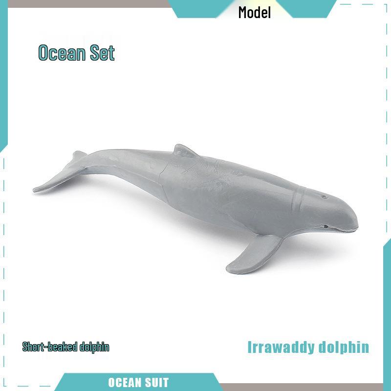 Children's Marine Animal Model Set: Mini Whale, Shark, Dolphin, Turtle, Sea Lion