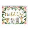 Wild Party Supplies Wildone Gold Wild Birthday Decoration Female Treasure First Year Arrangement Birthday Arrangement