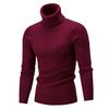 Casual Men Winter Solid Color Turtle Neck Long Sleeve Twist Knitted Slim Sweater