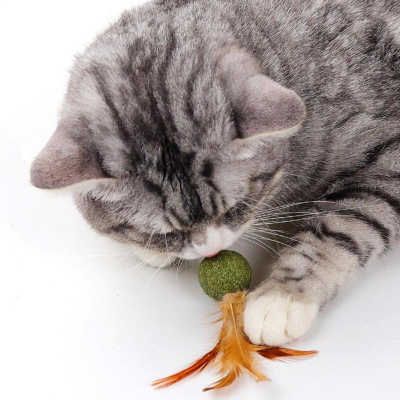 Catnip Balls for Cats Kitten Feather Edible Ball Interactive Cat Toys Indoor Cats Kicker Toy Teeth Cleaning Hairballs Removal
