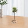 Practical Spiral Design Long Lasting Flower Stand Outdoor Garden Air Plants Display Holder Ornament Home Decor