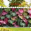 2D Colorful Monstera Plant Wall Backdrop Photography Background Banner