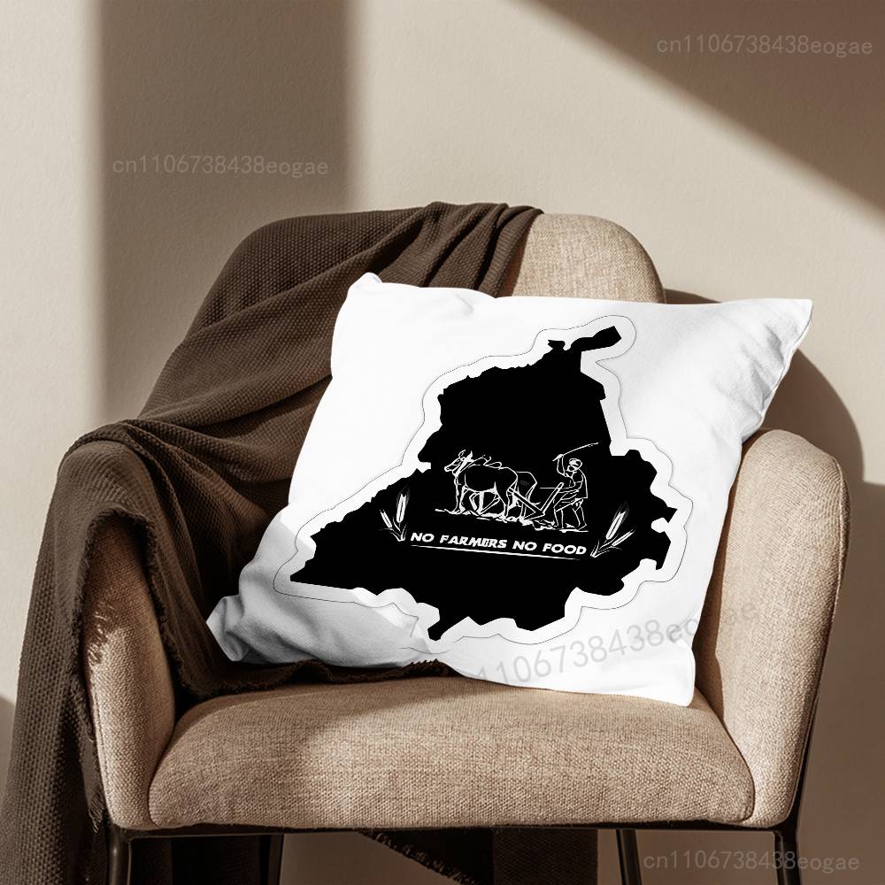 Map Art Punjab Throw Pillow Case For 45x45cm,55x55cm,30x30cm For Home Bedroom Decoration And Protector
