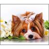 DIY 5D Алмазная картина Вышивка крестом Домашняя собака Мозаика Алмазная вышивка Рукоделие