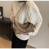 Large Capacity Bag for Women  New Retro Niche Design Single Shoulder Crossbody Bag Chain Women Dumpling Bag