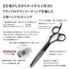 DEEDS GTZ Black Titanium Scissors and 630CT Thinning Scissors Approximately Thinning with Dedicated Case Set Professional Scissors for Hairdressers