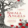 Small Angels by Lauren Owen Paperback Book 9781472280817