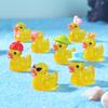 Cartoon Mini Duckling Figurine Succulent BonsaiSmall Decorative Accessories Resin Fish Tank Decoration